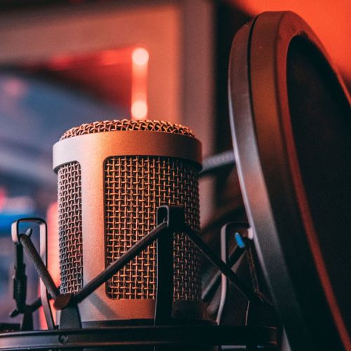 Guide complet microphones dynamique