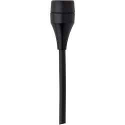 C417L/AKG