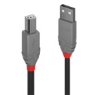 CA-USB2-AB-1-Cordon USB 2.0 A/B LINDY - Longueur : 1m - Noir