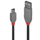 CA-USB2-AMB-1