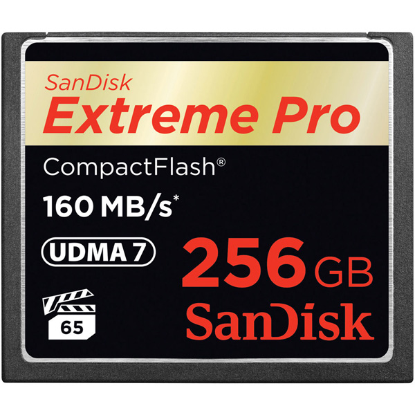 Carte mémoire SANDISK CompactFlash Extreme Pro 256Go 160/150Mb/sec