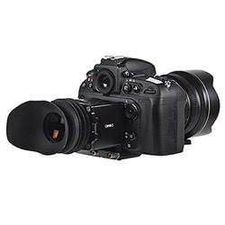 CS-31