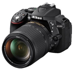 D5300