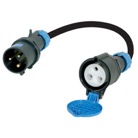P17MF-32MONO-10