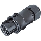 PC16IP66-FF