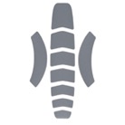 VERTEX-REF