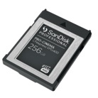 VPG400-Carte mémoire SanDisk Pro-Cinema CFexpress Type B VPG400 256Go