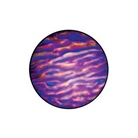 Gobo ROSCO Colorwave 33105 Ripple Indigo - Taille B (86 mm)