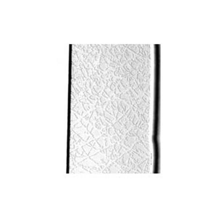 Gobo ROSCO Image Glass 33613 Winter Frost - Taille A (100 mm)