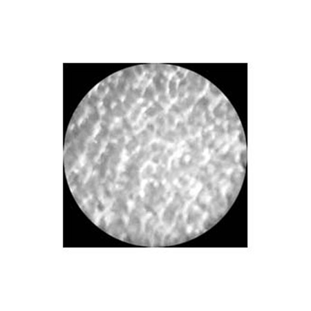 Gobo ROSCO Image Glass 33623 Reflections - Taille A (100 mm)