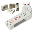 Clé permettent de fixer un verrou sur des ports USB - Blanc LINDY
