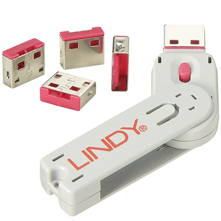Clé permettent de fixer un verrou sur des ports USB - Rouge LINDY