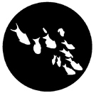 Gobo ROSCO DHA 77559 Fishes - Taille A (100 mm)
