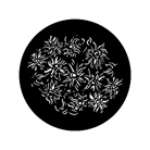 Gobo ROSCO DHA 78178 Floral 6 - Taille M (66 mm)