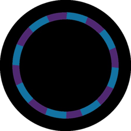 Gobo ROSCO Rotation 84413 PURPLE/TEAL COLOR SWIRL - Taille B (86 mm)