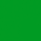 Papier de fond BD COMPANY - Coloris Chroma Veri Green - Dim: 1,36x11m