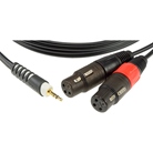 Cordon 2 XLR 3 femelle - MINIJACK 3,5mm stéréo mâle - longueur 1m