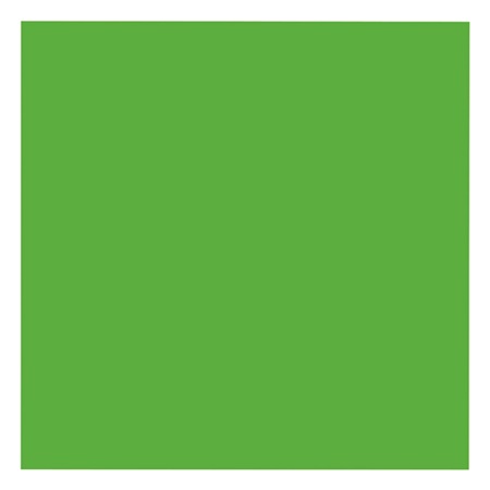 Verre dichroïque VERT PRIMAIRE - BE1ST PRO