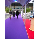 Moquette aiguillétée filmée violette - coloris 0939 - Violet - 2x50m