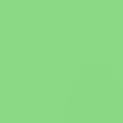 Papier de fond BD COMPANY - Coloris Spring Green - Dim. : 2,72 x 11m