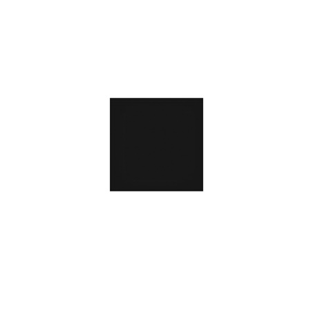 Filtre ''Neutral Density Big Stopper'' 10 Stop pour SW150 LEE FILTERS
