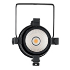 Projecteur PAR 30 Led 20W SHOWTEC noir blanc chaud graduable