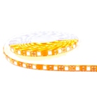 Strip LED Blanc variable 24V 5m IP20 PRO - 3500K / 6500K - LUMIHOME