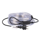 Cordon lumineux LED Blanc Chaud - 10m - Extérieur - BE1ST PRO