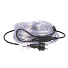 Cordon lumineux LED Violet - 10m - Extérieur - BE1ST PRO