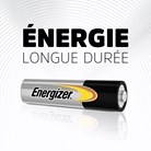 Boîte de 10 piles alcalines 1.5V LR03 AAA Industrial by ENERGIZER