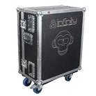 Bundle INFINITY CHIMP300G2 + flight case touring