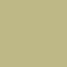 Papier de fond BD COMPANY - Coloris Pistachio - Dim. : 2,72 x 11m