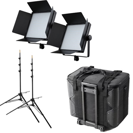 Kit de 2 panneaux Led Bicolor 3300 à 5600K GODOX LED1000Bi MKII