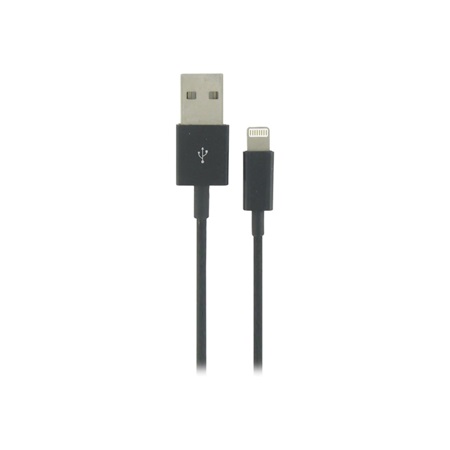 Cordon USB Lightning pour iPod, iPhone et iPad - Longueur : 1m DLH