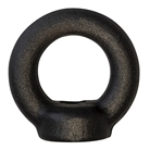 Anneau femelle Grade 80 M10 (type DIN 582) 2T Noir mat RIGLIFT