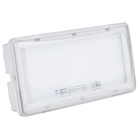 Bloc d'éclairage de secours à led SHOWGEAR SafeLED Emergency Light