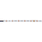 Strip LED 24V RGB 30 LEDs/m 1475lm - ARTECTA