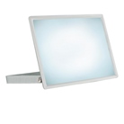 Quartzled Blanc froid 6500K 100W BLANC - IP65 - SPECTRUM LED