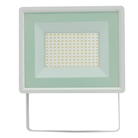 Quartzled Blanc froid 6500K 100W BLANC - IP65 - SPECTRUM LED