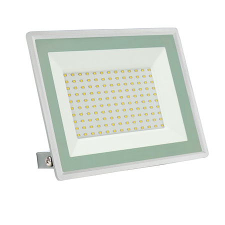 Quartzled Blanc froid 6500K 100W BLANC - IP65 - SPECTRUM LED