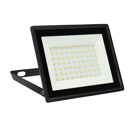 Quartzled Blanc froid 6500K 50W NOIR - IP65 - SPECTRUM LED