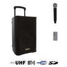 Sono portable 10'' 80W RMS avec micro HF, bluetooth, USB et SD