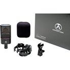 Micro statique cardioïde large membrane OC18 Studio set Austrian Audio