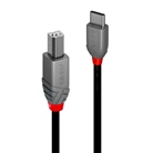 Cordon USB 2.0 Type-C/B LINDY - Longueur : 1m - Noir 