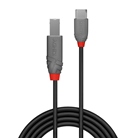 Cordon USB 2.0 Type-C/B LINDY - Longueur : 2m - Noir 