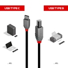 Cordon USB 2.0 Type-C/B LINDY - Longueur : 2m - Noir 