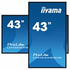 Ecran Led 4K 43'' IIYAMA ProLite LH4354UHS-B1AG