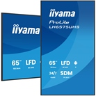 Ecran Led 4K 65'' IIYAMA ProLite LH6575UHS-B2AG