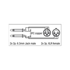 Cordon économique DAP Audio 2 XLR femelle - 2 Jack 6,35mm - 1,5m 