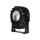 PAR led COB 300W RGBWAUV Flash Pro
